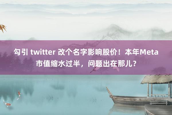 勾引 twitter 改个名字影响股价！本年Meta市值缩水过半，问题出在那儿？