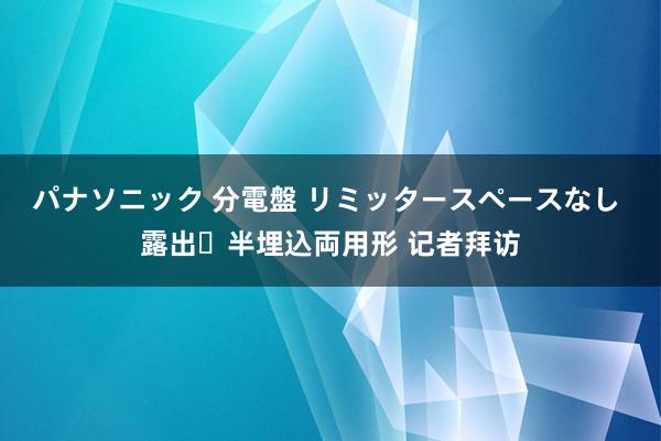 パナソニック 分電盤 リミッタースペースなし 露出・半埋込両用形 记者拜访