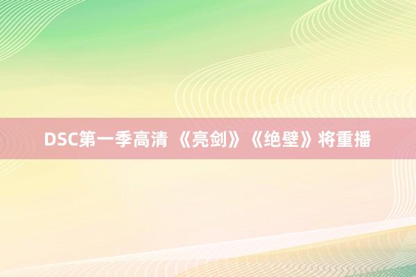 DSC第一季高清 《亮剑》《绝壁》将重播